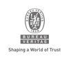 Bureau Veritas Group Logo