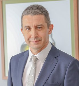 Güney Devrim İldiri